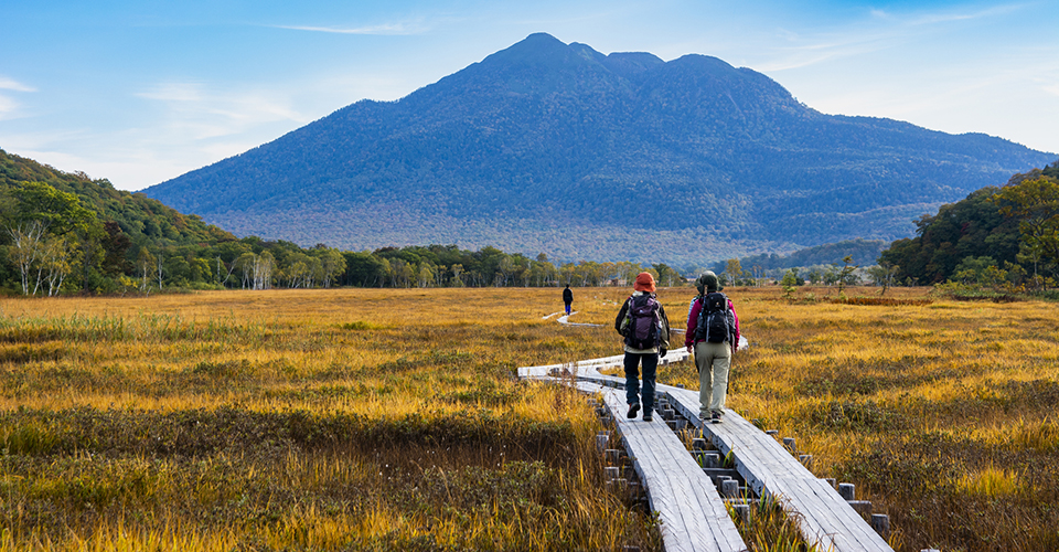 尾瀬（イメージ）