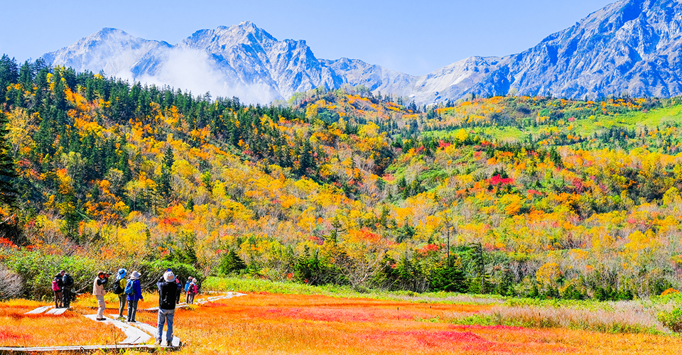 白馬・栂池自然園（イメージ）