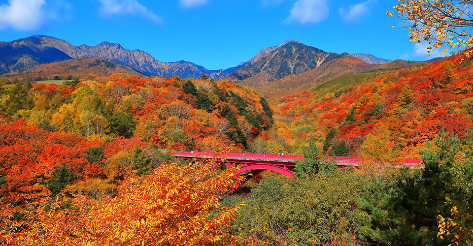 八ヶ岳・八ヶ岳高原（イメージ）