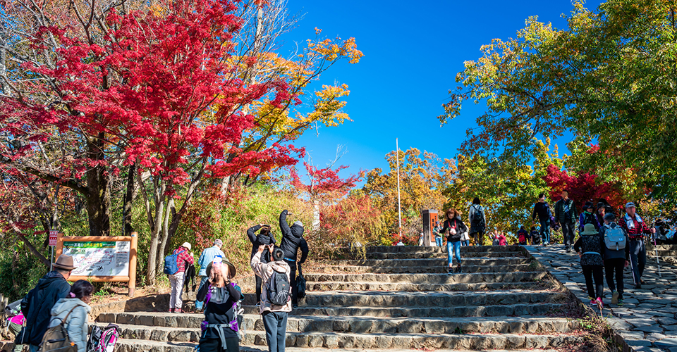高尾山山頂（イメージ）