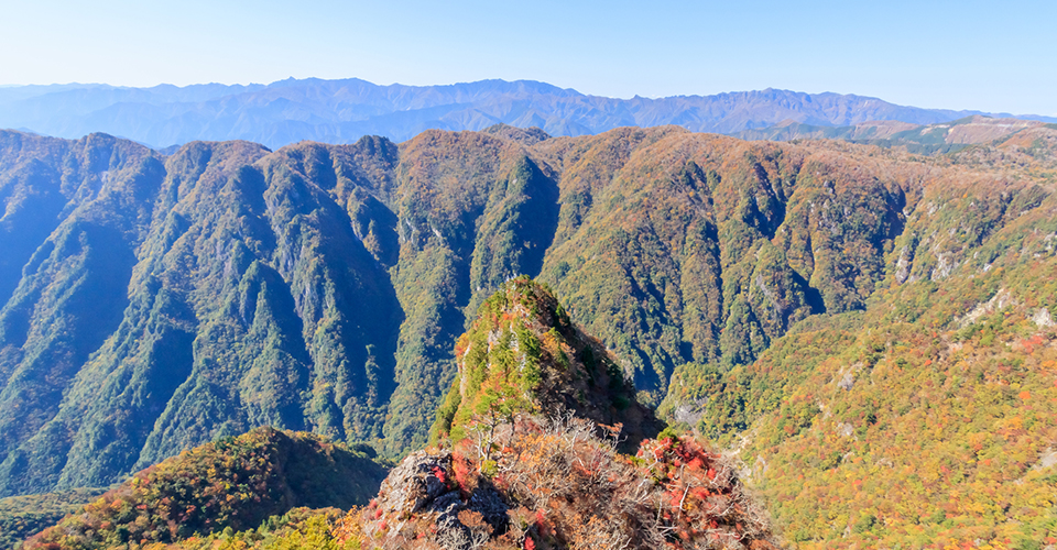 大台ヶ原（イメージ）