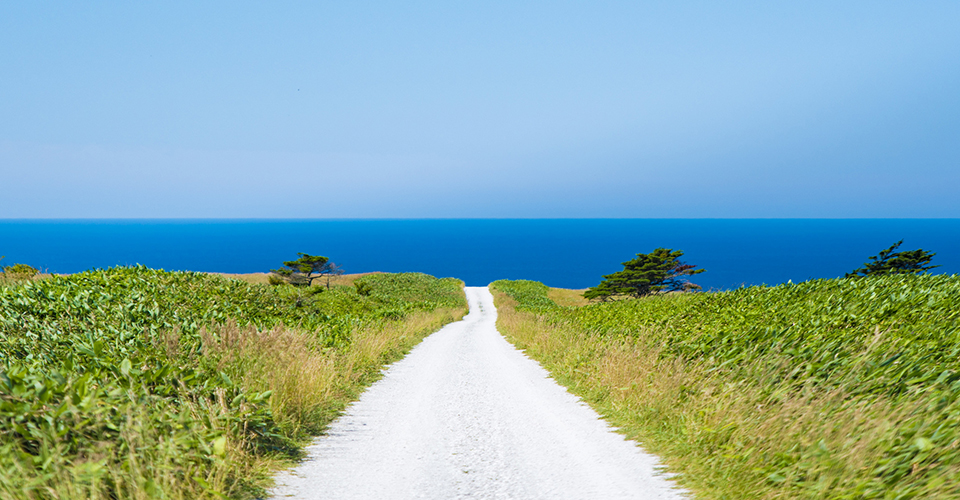 白い道（イメージ）