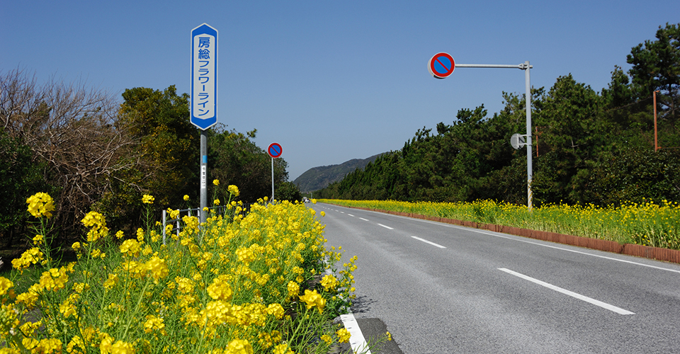 房総フラワーライン（イメージ）