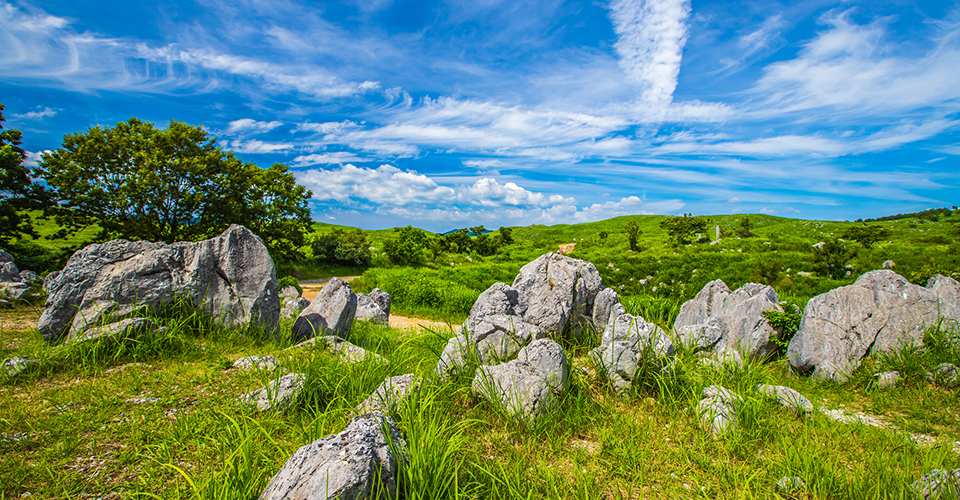 秋吉台カルスト（イメージ）