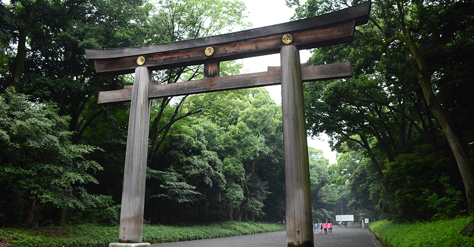 明治神宮 大鳥居（イメージ）　※写真提供：明治神宮