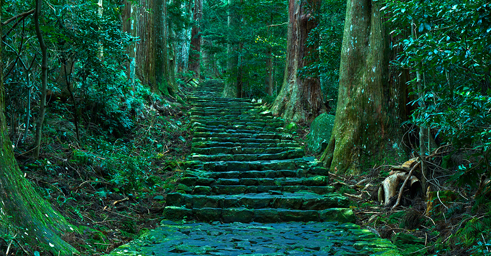 熊野古道・大門坂(イメージ)