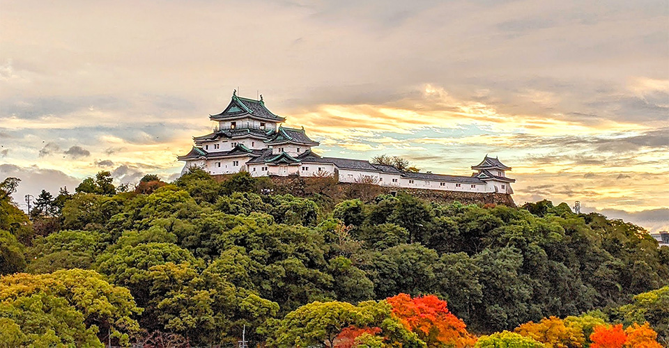 和歌山城(イメージ)　※写真提供：(公社)和歌山県観光連盟