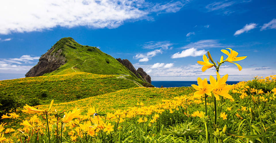 佐渡島（イメージ）