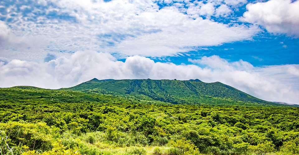 三原山／伊豆大島（イメージ）