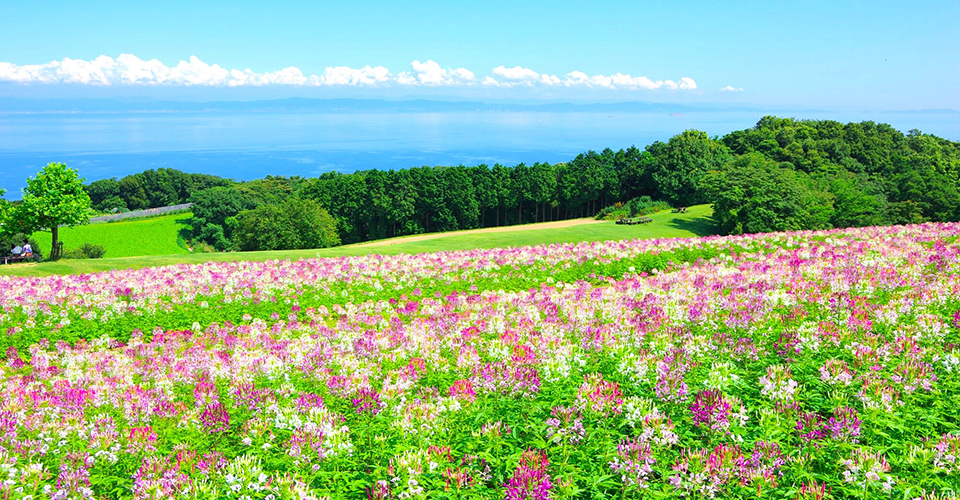 淡路島（イメージ）