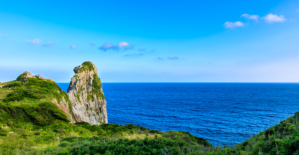 猿岩／壱岐（イメージ）