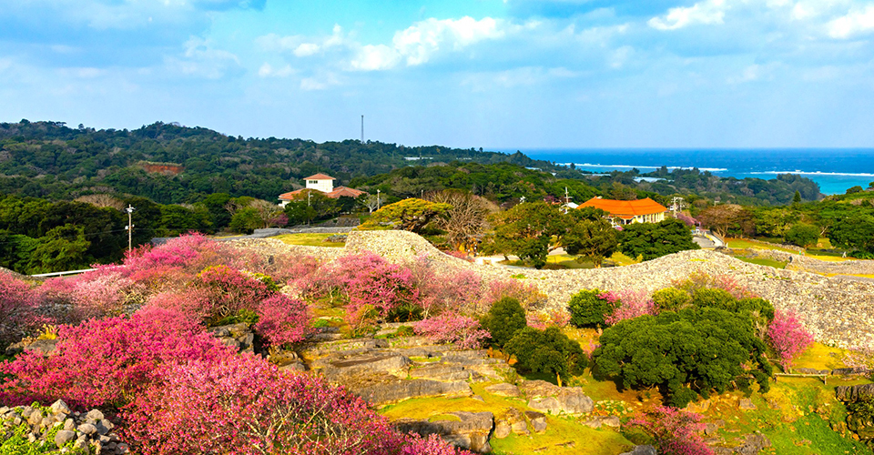 今帰仁城跡／沖縄県（イメージ）