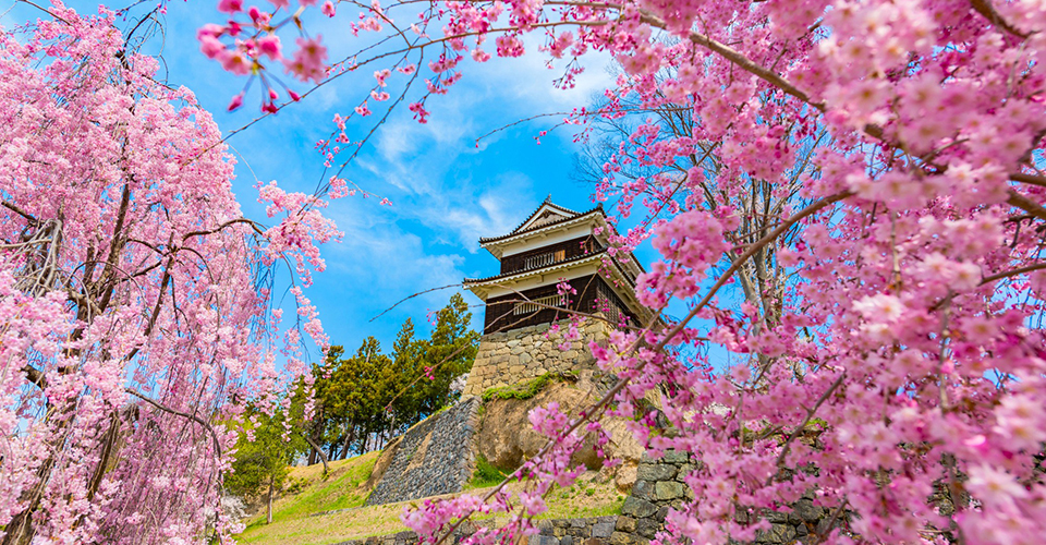 上田城跡／長野県（イメージ）