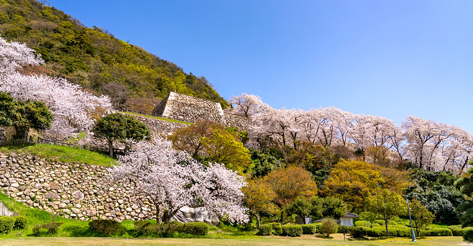 鳥取城跡／鳥取県（イメージ）