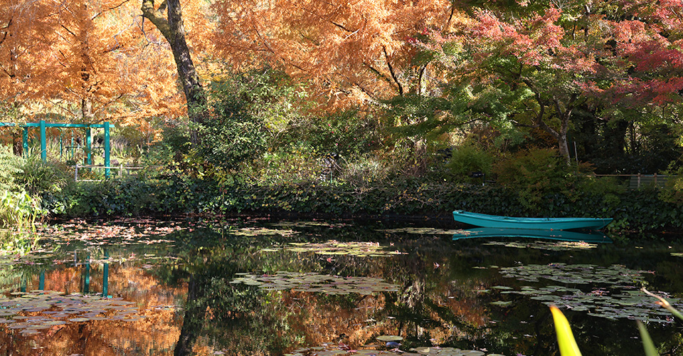 紅葉（イメージ）