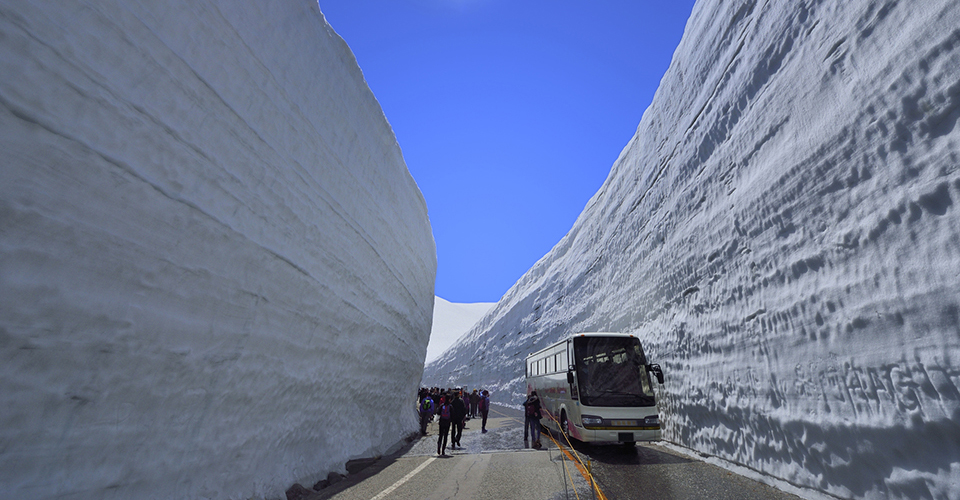 春のアルペンルート（イメージ）
