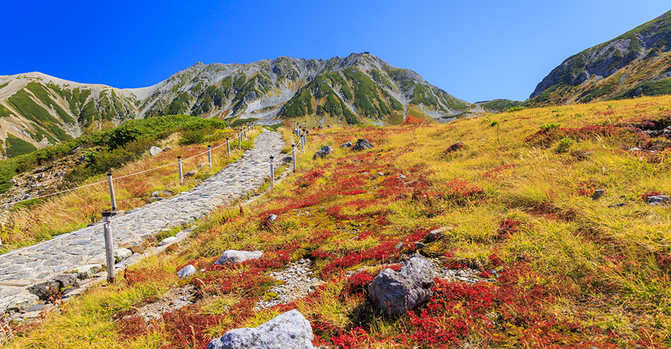 秋のアルペンルート（イメージ）