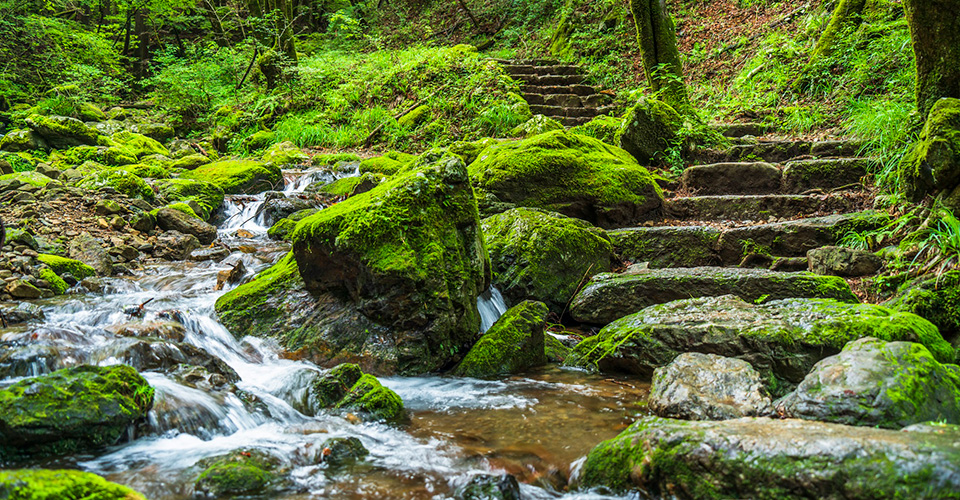 御岳山 ロックガーデン（イメージ）