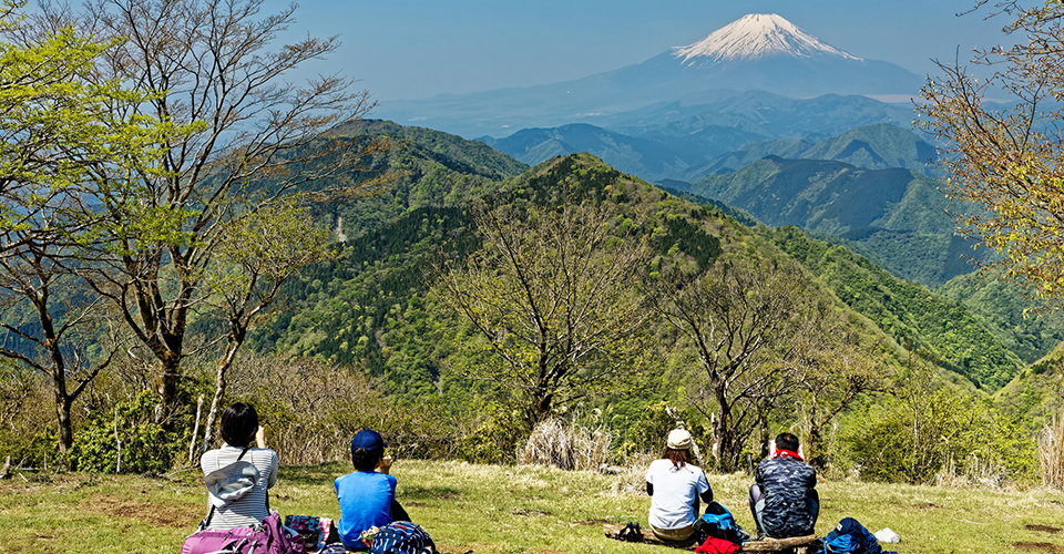 新緑の鍋割山山頂（イメージ）