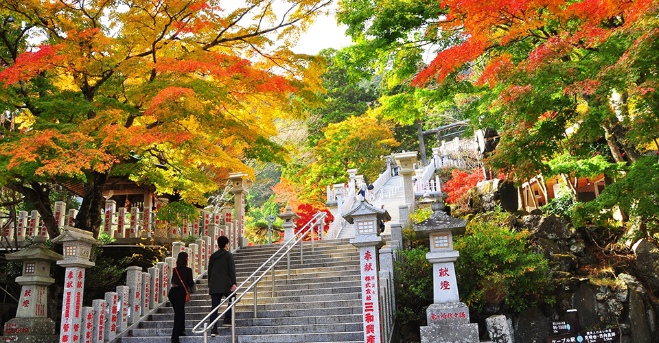 紅葉に覆われた大山阿夫利神社（イメージ）