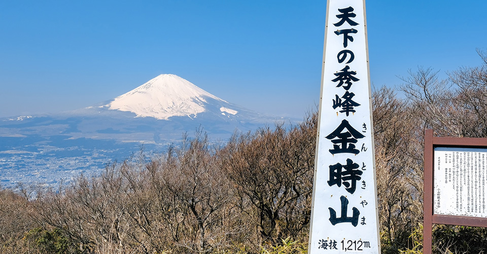 金時山から望む富士山（イメージ）