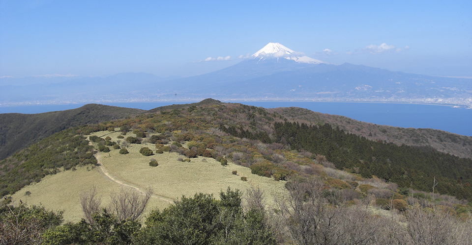 金冠山からの富士（イメージ）　※写真提供：伊豆観光協会