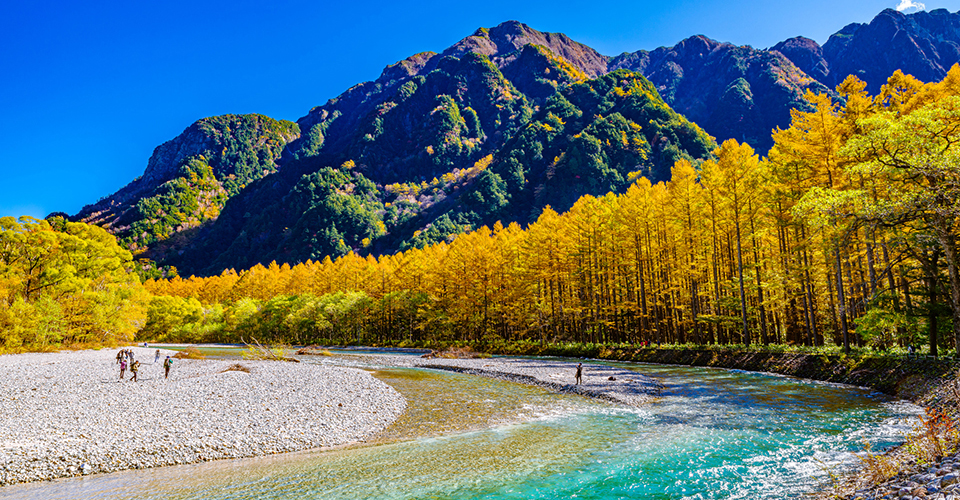カラマツと梓川（イメージ）
