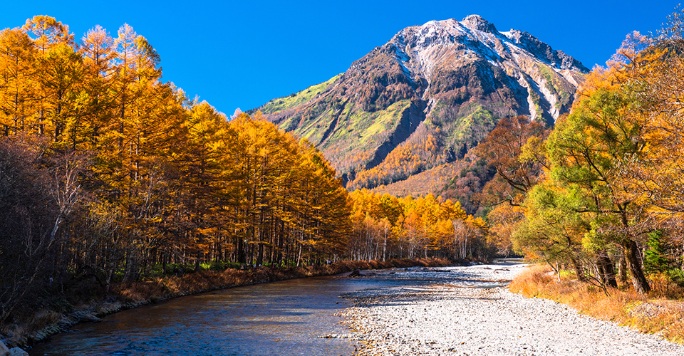 焼岳とカラマツ（イメージ）