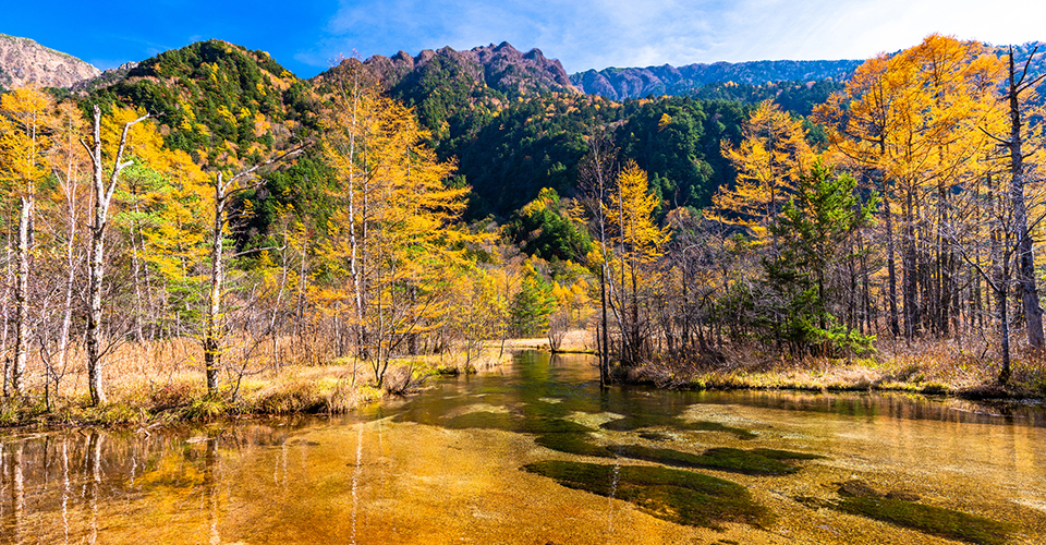 田代池（イメージ）