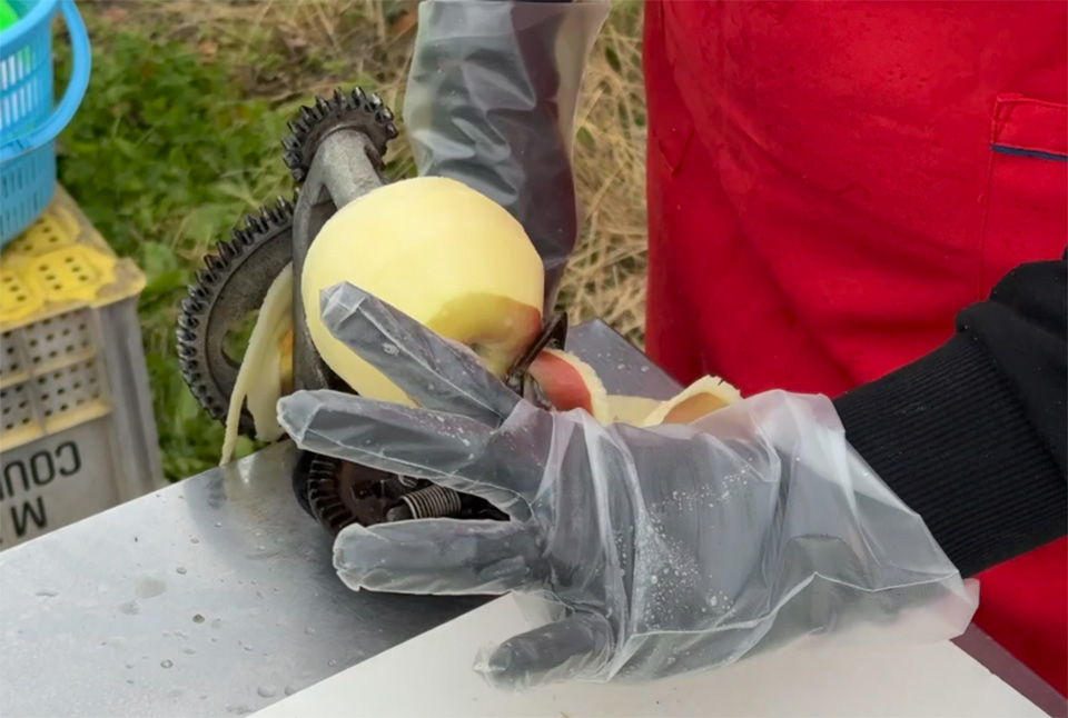 りんごの皮むき（イメージ）