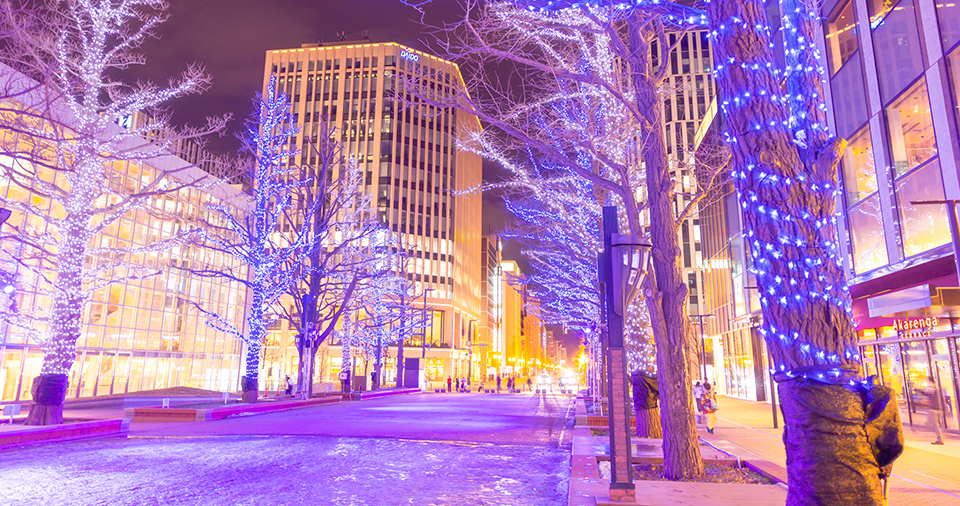 さっぽろホワイトイルミネーション（イメージ）