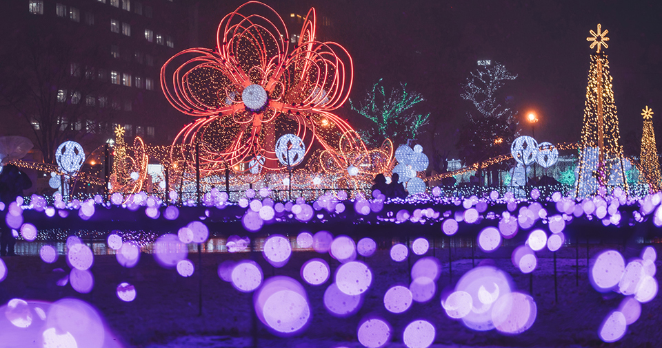 さっぽろホワイトイルミネーション（イメージ）