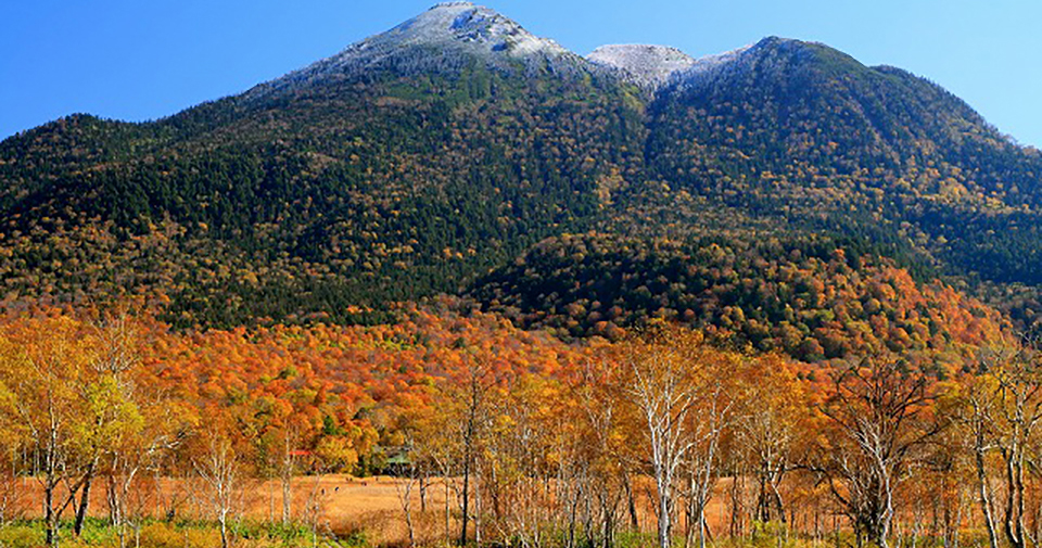 尾瀬の草紅葉（イメージ）