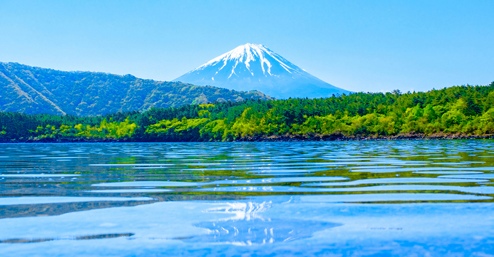 西湖（イメージ）