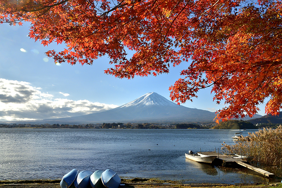 河口湖（イメージ）/「もみじに染まる富士」茨城県のPN.羊雲さんの作品
