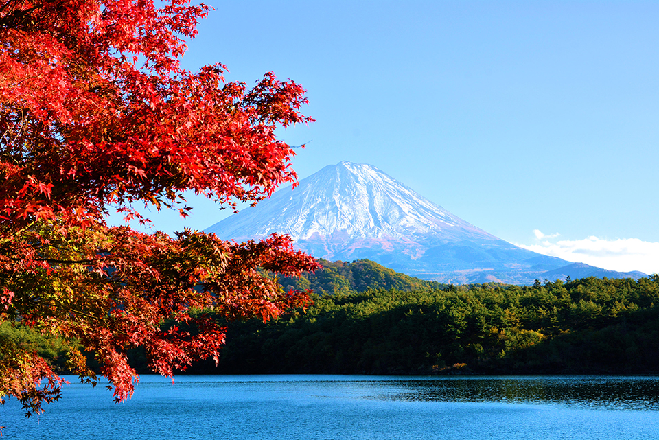 西湖（イメージ）/「紅葉の湖畔」静岡県の川合 繁男さんの作品