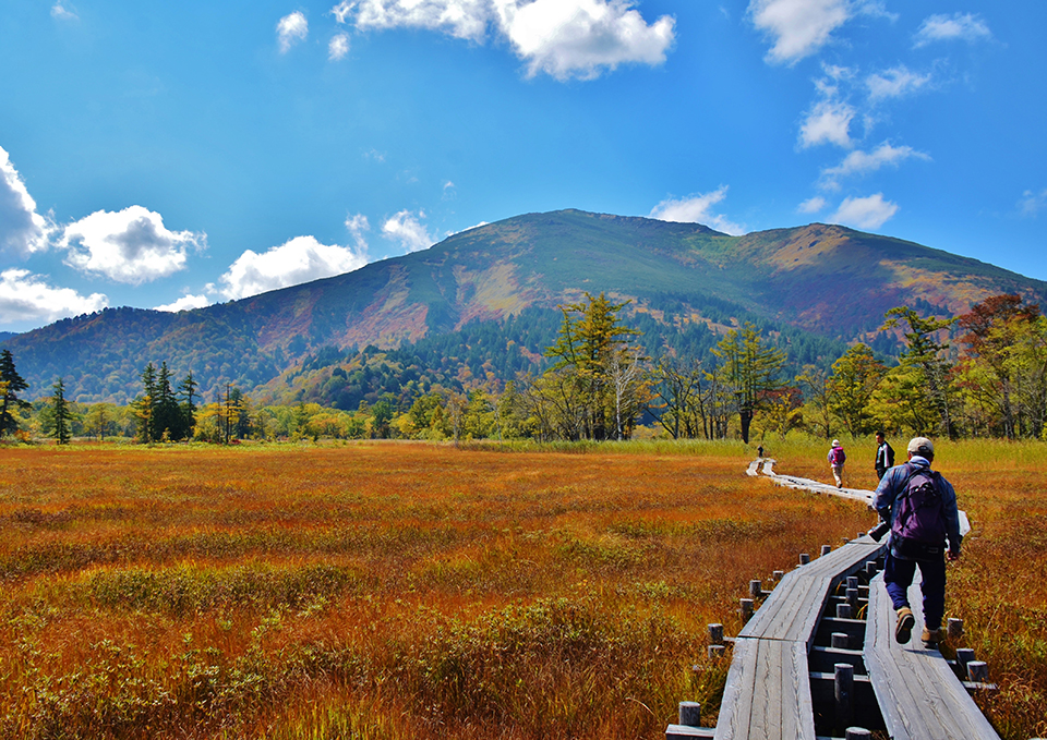 尾瀬（イメージ）/「尾瀬一人旅」兵庫県のPN.ぴんけろさんの作品
