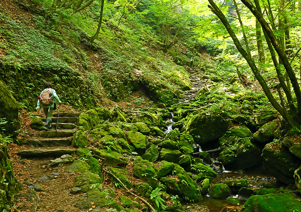 御岳山（イメージ）/東京都の相馬 昭夫さんの作品