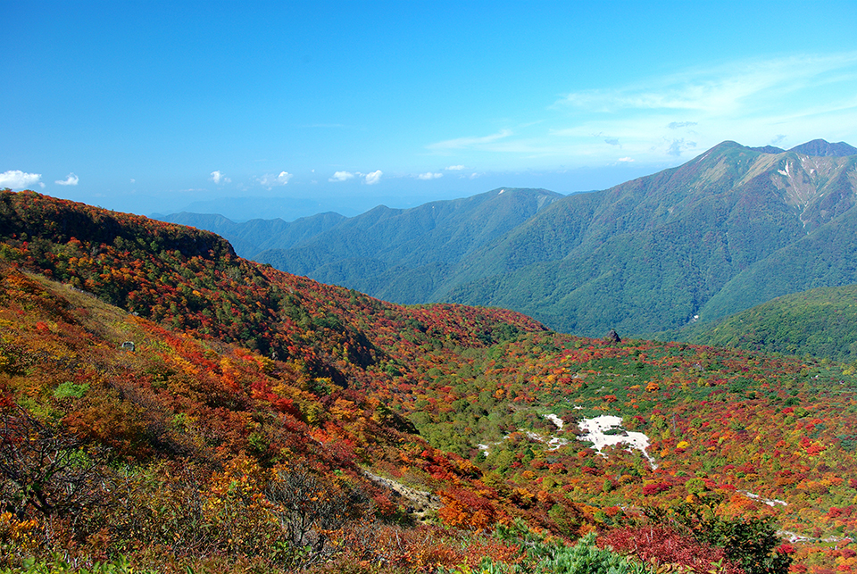 那須高原・姥ヶ平（イメージ）/栃木県の印南 計夫さんの作品