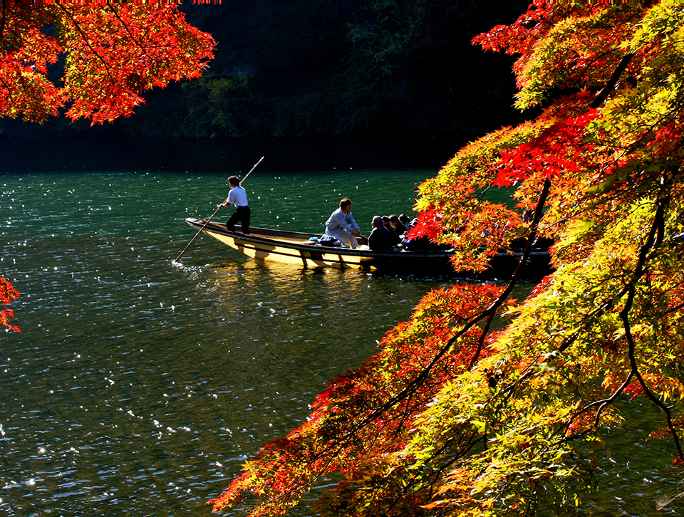 京都嵐山（イメージ）/兵庫県の脇 良一さんの作品