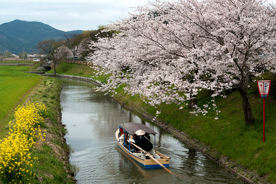 近江八幡（イメージ）/滋賀県の谷﨑 進さんの作品