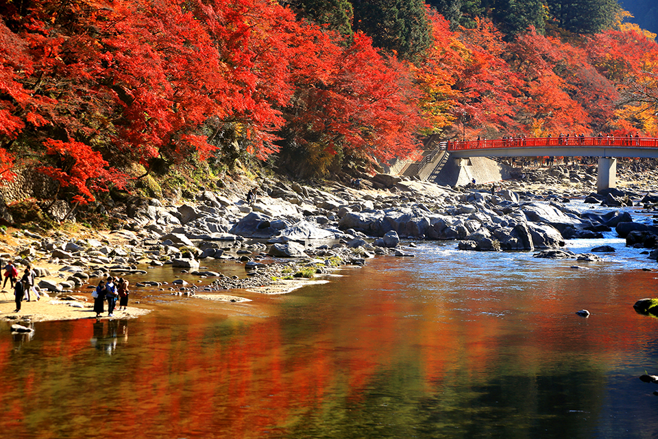 香嵐渓（イメージ）/「紅葉の香嵐渓」山口県の来栖 旬男さんの作品