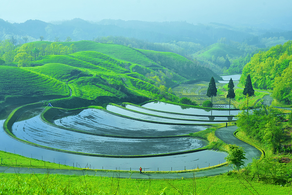 扇棚田（イメージ）/「田植えを待つ扇田」福岡県の鹿島 和生さんの作品