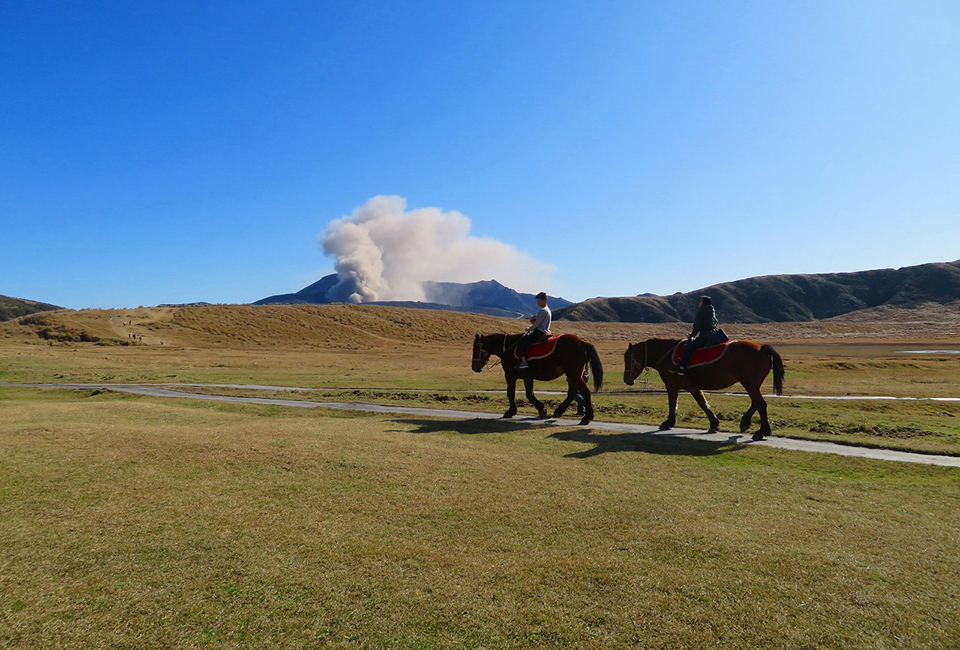 草千里（イメージ）/「乗馬越しに見る中岳噴煙」東京都の羽賀 道行さんの作品
