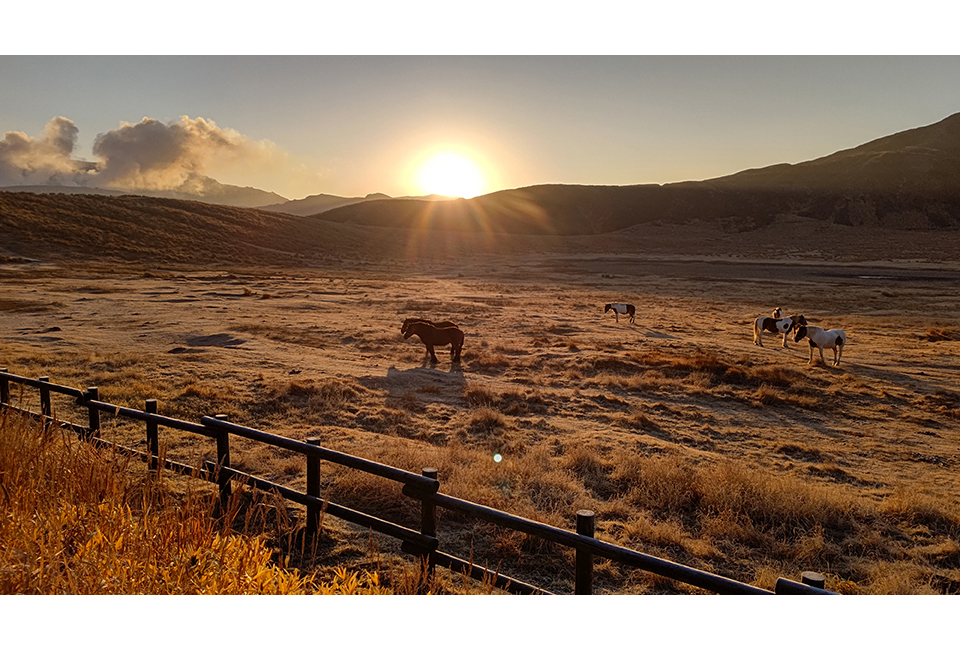 草千里（イメージ）/「１２月草千里の朝」兵庫県のPN.ま～やん２号さんの作品