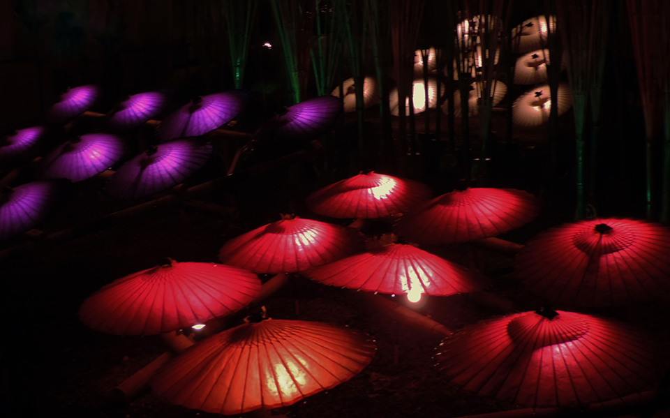 山鹿市（イメージ）/「冬の祭り 百華百彩」福岡県の西田 正美さんの作品