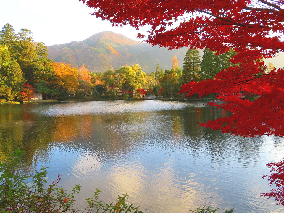 金鱗湖（イメージ）/「紅葉の金鱗湖」東京都の羽賀 道行さんの作品