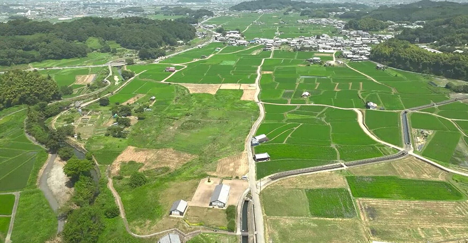 飛鳥京跡苑池（イメージ）※写真提供：世界遺産「飛鳥・藤原」登録推進協議会ＨＰ