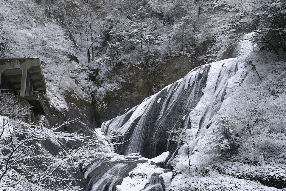 降雪時は氷瀑と雪が競演する風景が見られます（イメージ）