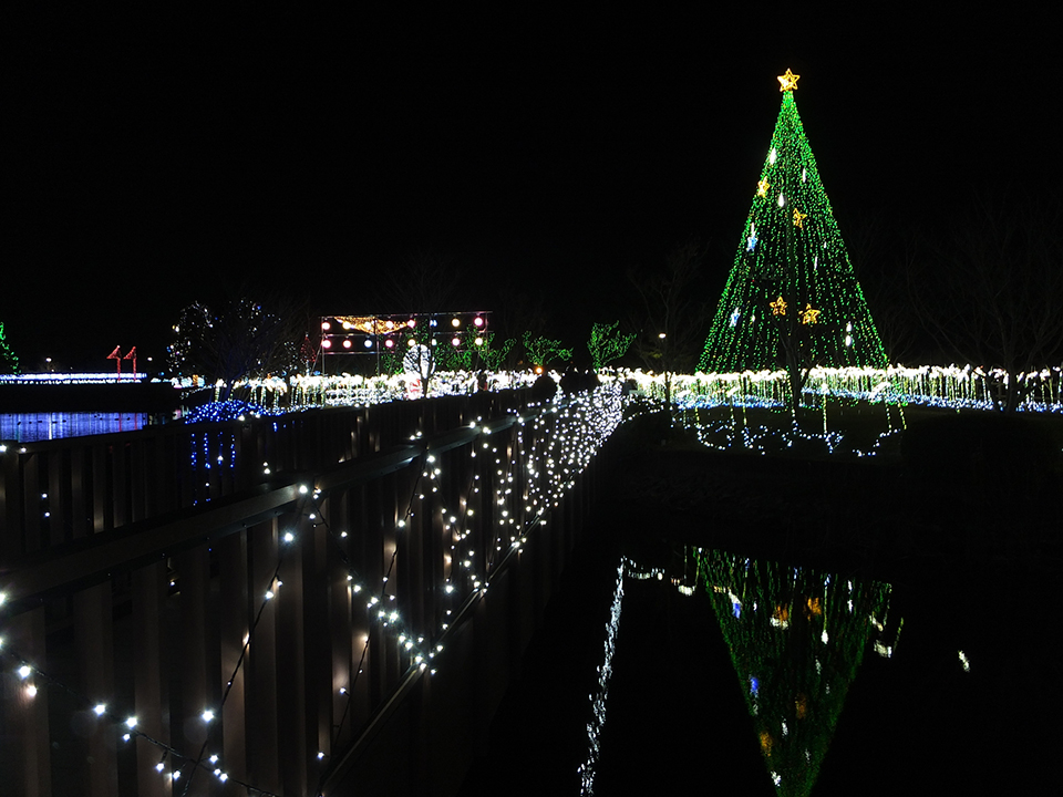 「かわちイルミネーション」（イメージ）